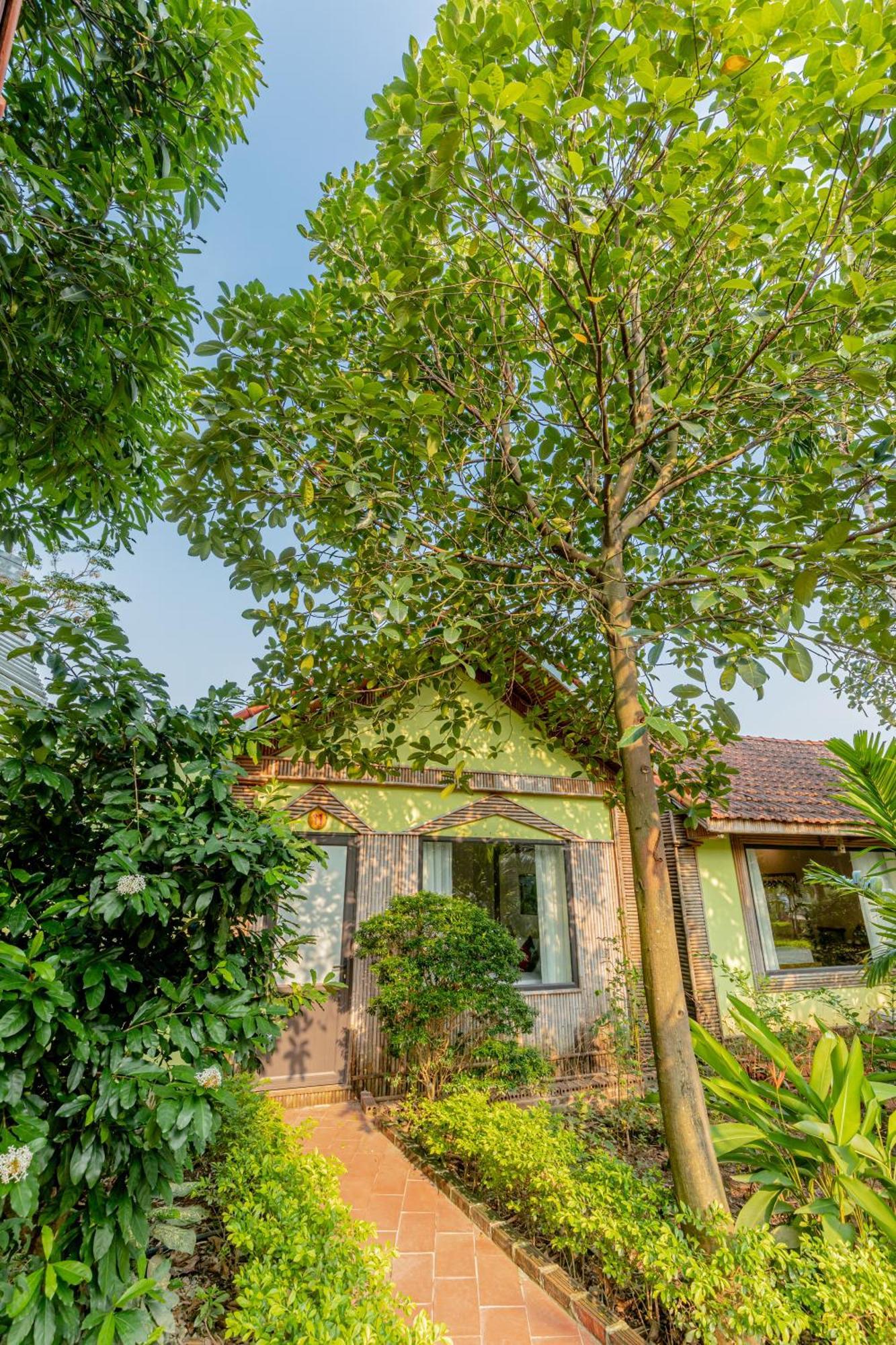 Tam Coc Green Garden Bungalow Ninh Binh Dış mekan fotoğraf