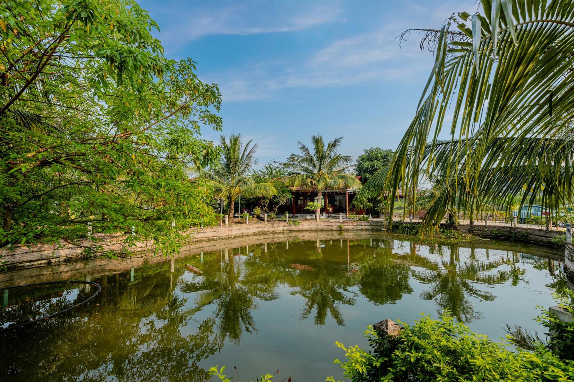 Tam Coc Green Garden Bungalow Ninh Binh Dış mekan fotoğraf