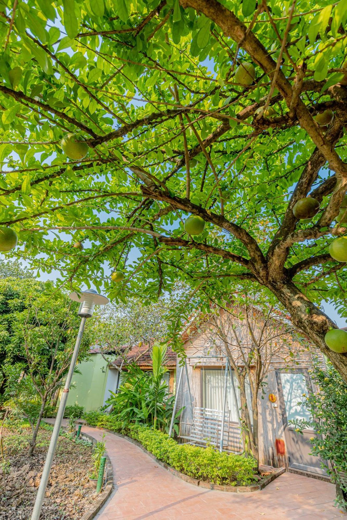 Tam Coc Green Garden Bungalow Ninh Binh Dış mekan fotoğraf
